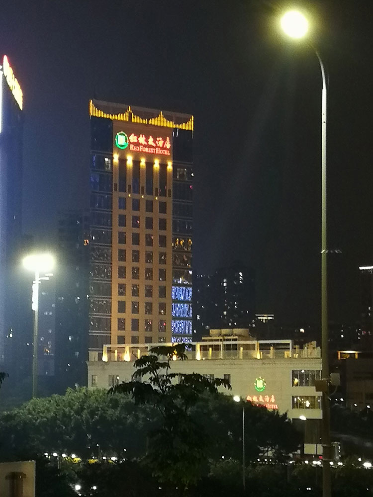 红林大酒店外墙亮化工程